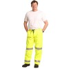 Hi Vis Safety Pants